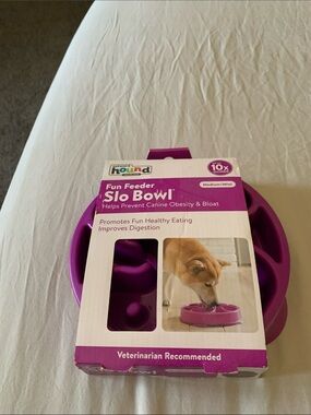 Outward Hound Slow-Feed Slo Bowl in Bright Purple